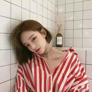 歌舞春光 封面