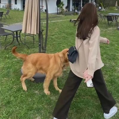 我在你的未来吗 封面