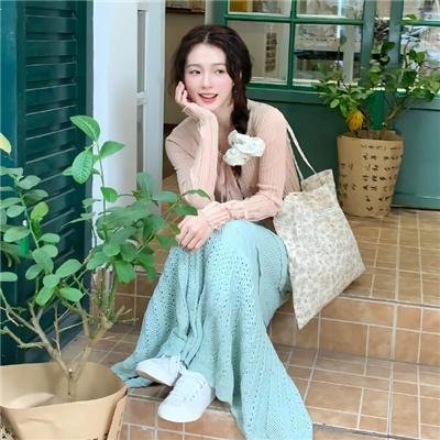 蝶变计划 封面